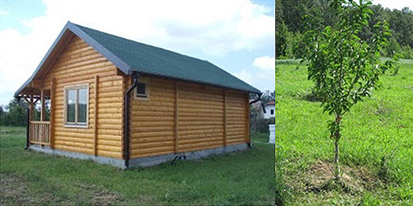 The only accredited laboratory in forestry in the Balkans